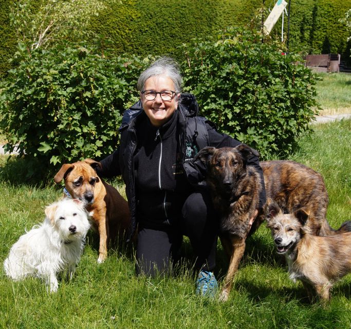 Soul-Dogs-Coaching Trainer Petra Tenge mit ihren Tierschutzhunden