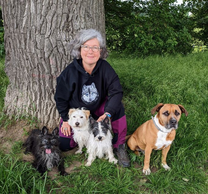 Soul-Dogs-Coaching Trainer Petra Tenge mit ihren Tierschutzhunden